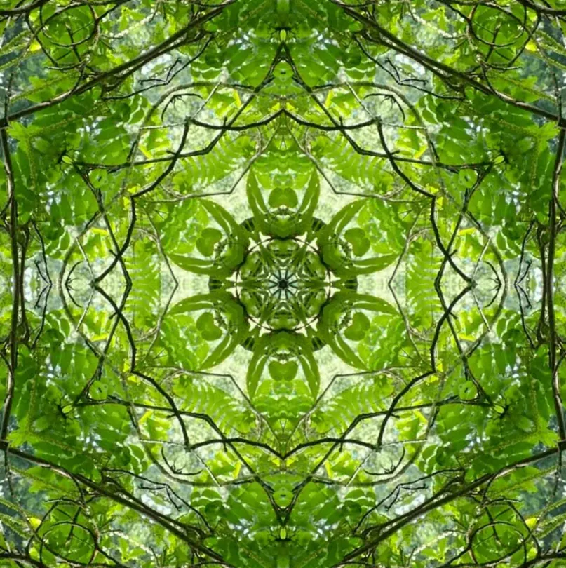 Quantum Body